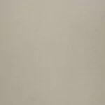 بديل شيبورد بيج فوسل