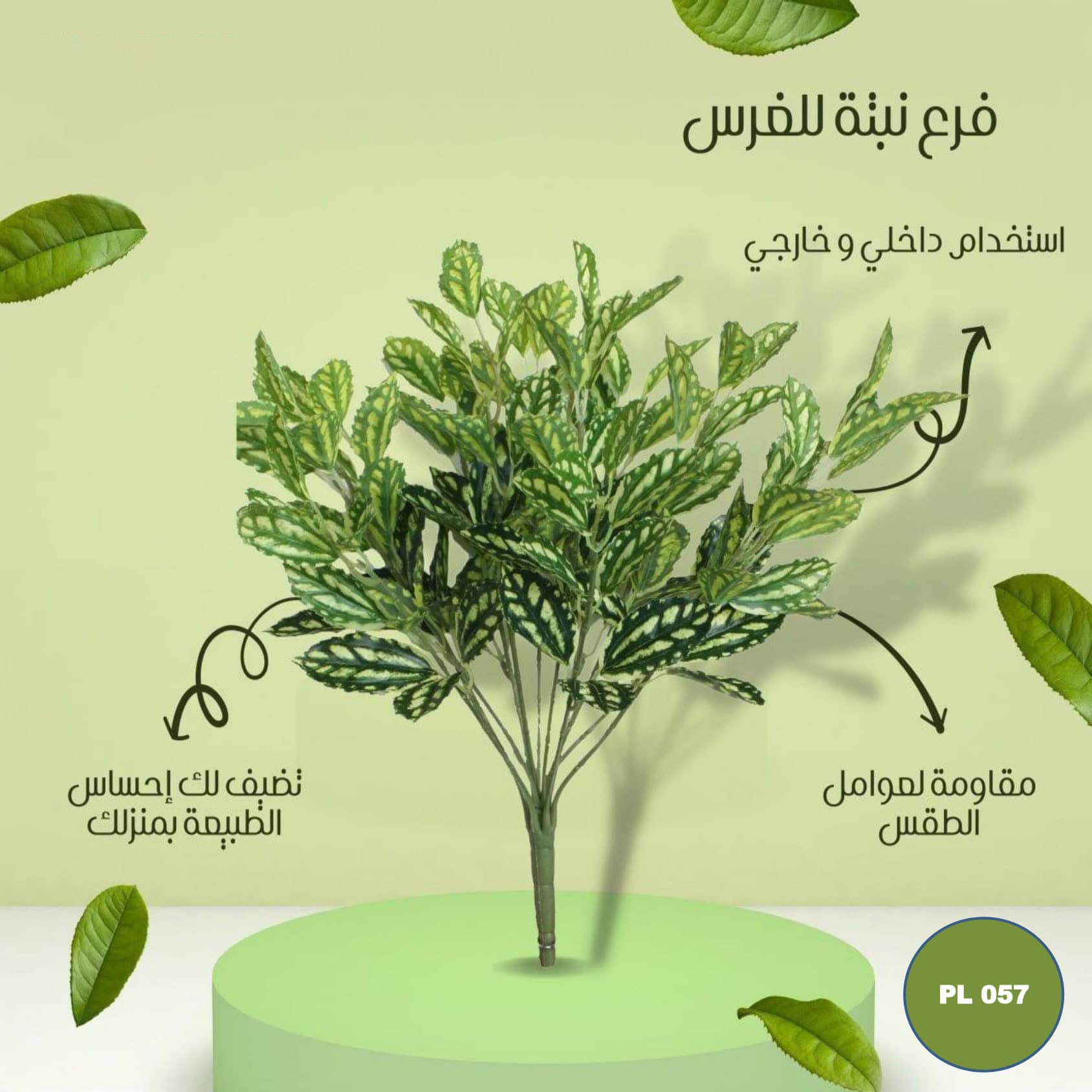 pl057 فرع نبته للغرس - الصورة 1