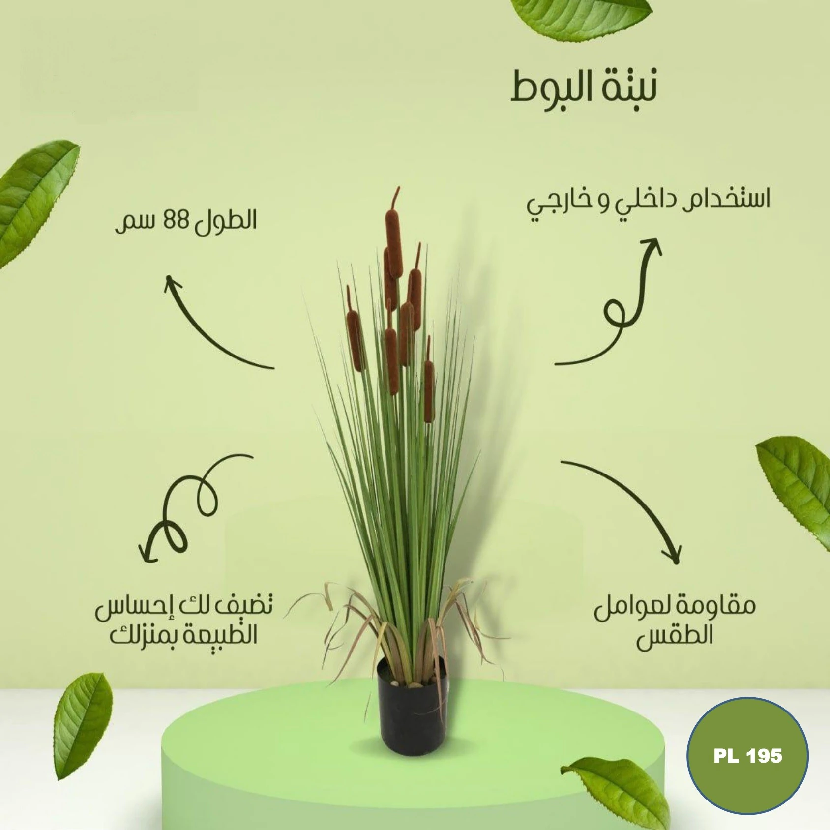pl195 شجره صناعي نبتة البوط - الصورة 1