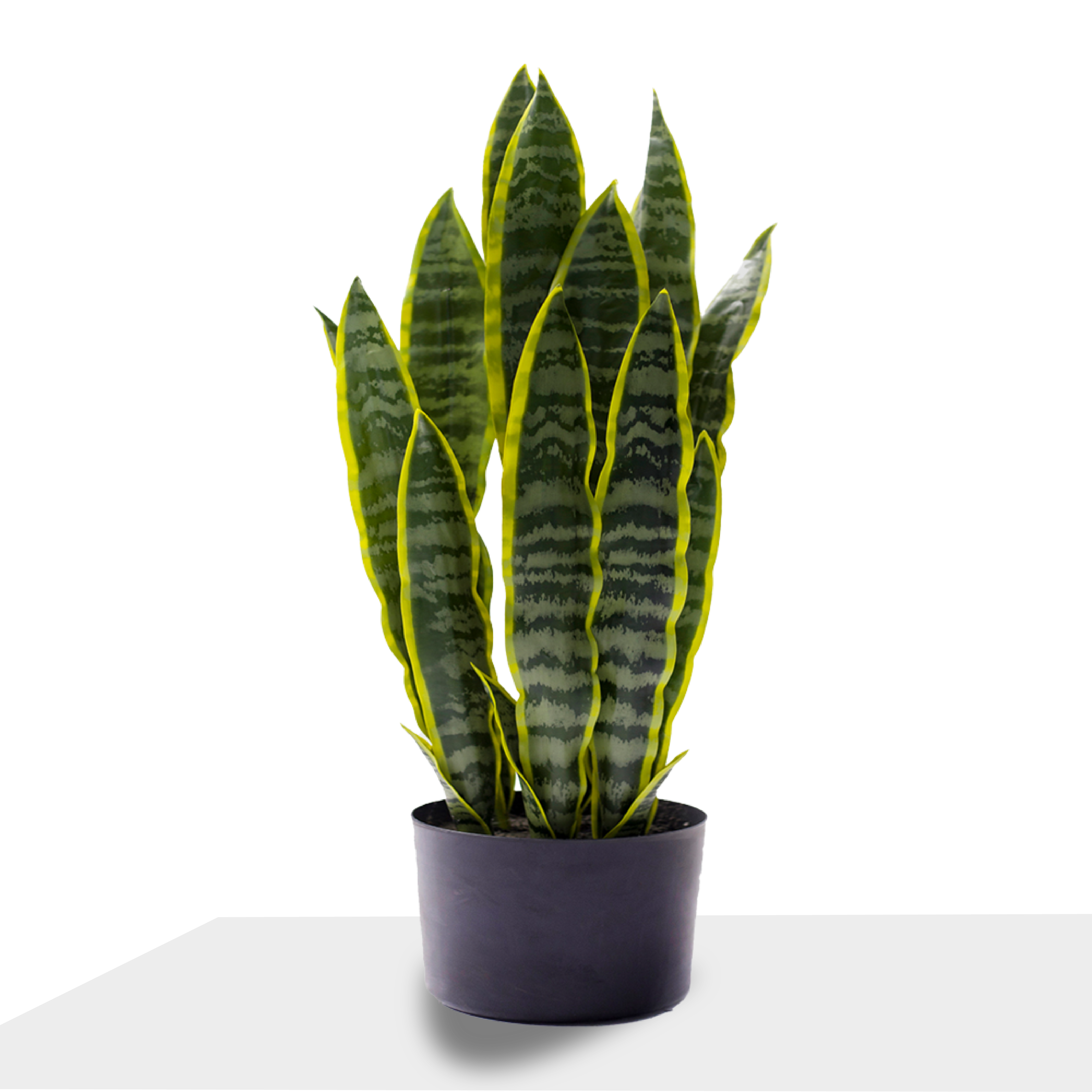 ⁦شجرة جلد النمر صناعية 80 سم⁩ - الصورة ⁦1⁩