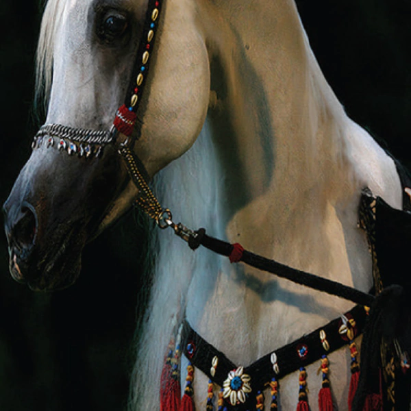 بديل رخام طباعه خيل خلفية اسود