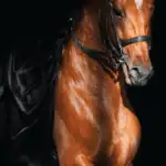 بديل رخام طباعه خيل بني خلفية بني