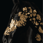 بديل رخام طباعة خيل اسود