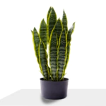 شجرة جلد النمر صناعية 57 سم