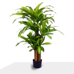 شجرة دراسينا الصناعية
