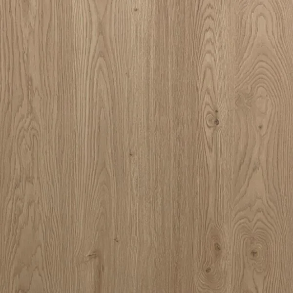 باركيه بلجيكي بيج