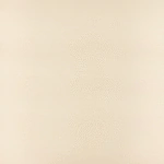 بديل شيبورد بيج او دبليو