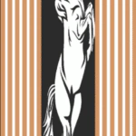 رسوم تركيب تكسيات خارجية 8م ارتفاع * 4 م عرض