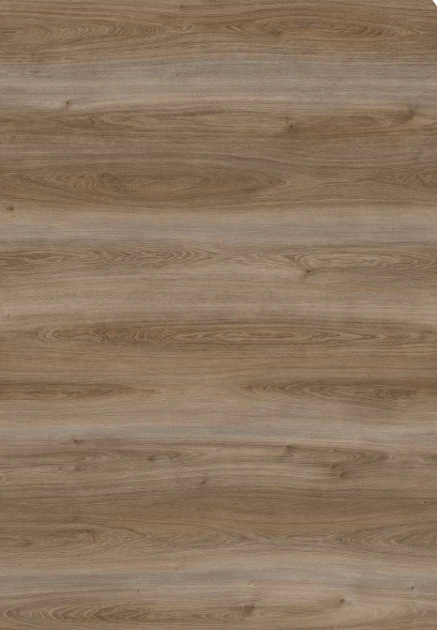 باركيه بيج فاتح تركي