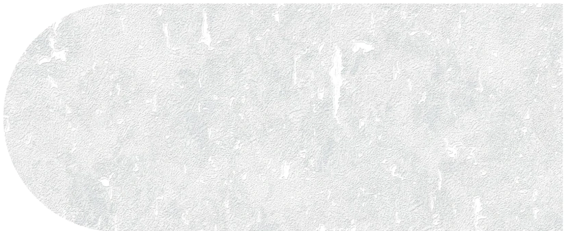 فخامة الخط العربي الأنيق لعشاق التصاميم الراقية.