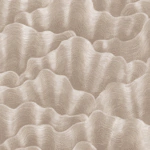 ورق جدران منقوش كوري بيج