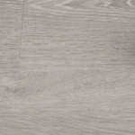 لا يوجد نص في الصورة.