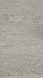 لا يوجد نص في الصورة.