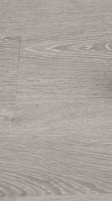 لا يوجد نص في الصورة.