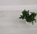 ⁦باركية صيني خشبي لحمي داكن 8 ملم⁩ - الصورة ⁦2⁩