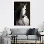 لوحة جدارية مطبوعة خيل