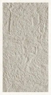 1602 صفائح حجرية رمادي هادئ - الصورة 1