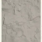 صفائح حجرية رمادي هادئ