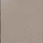 بديل شيبورد توفي فاتح